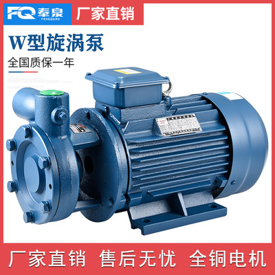 W型单级直连旋涡泵高温卧式锅炉给水泵高压高扬程旋涡泵上海人民|ru