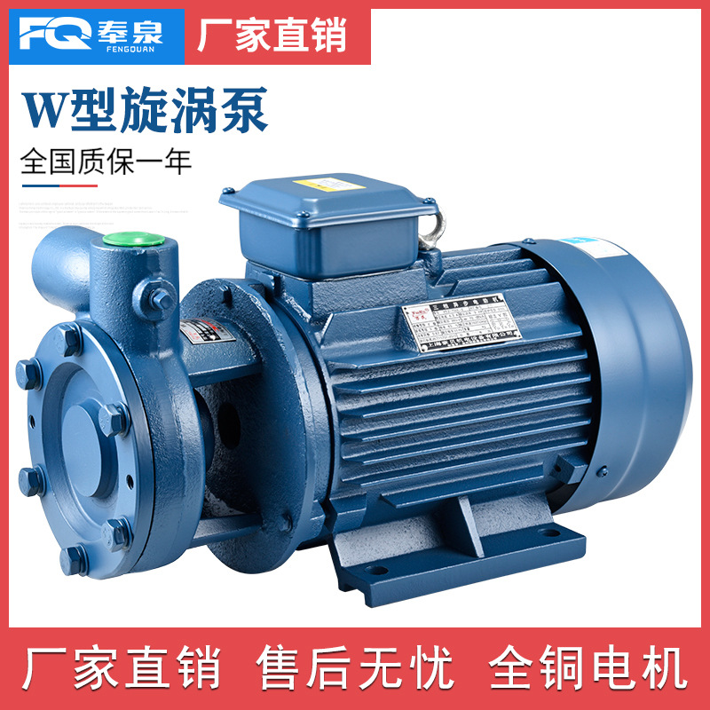 W型单级直连旋涡泵高温卧式锅炉给水泵高压高扬程旋涡泵上海人民|ru