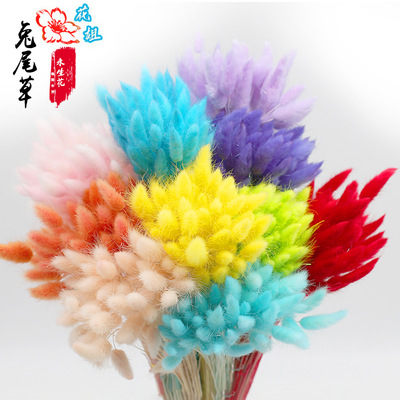 Manufactor Direct selling Rabbit tail grass Dried flowers Mikie Hay FlowerBox Material Science Free of charge