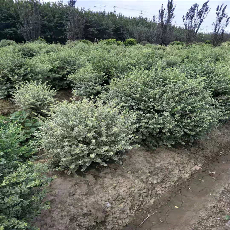 微信图片_20190924001038