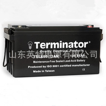 Terminator蓄电池TSLA65-12AN 12V6H机械臂 医疗 仪器 船舶