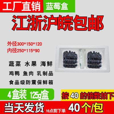 蓝莓泡沫箱 冷藏保温箱防震带冰袋槽蓝莓保鲜快递泡沫盒