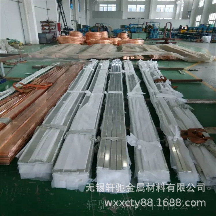 现货100*4mm紫铜排  导电紫铜排 T2阴极铜排 铜母排找轩驰铜业