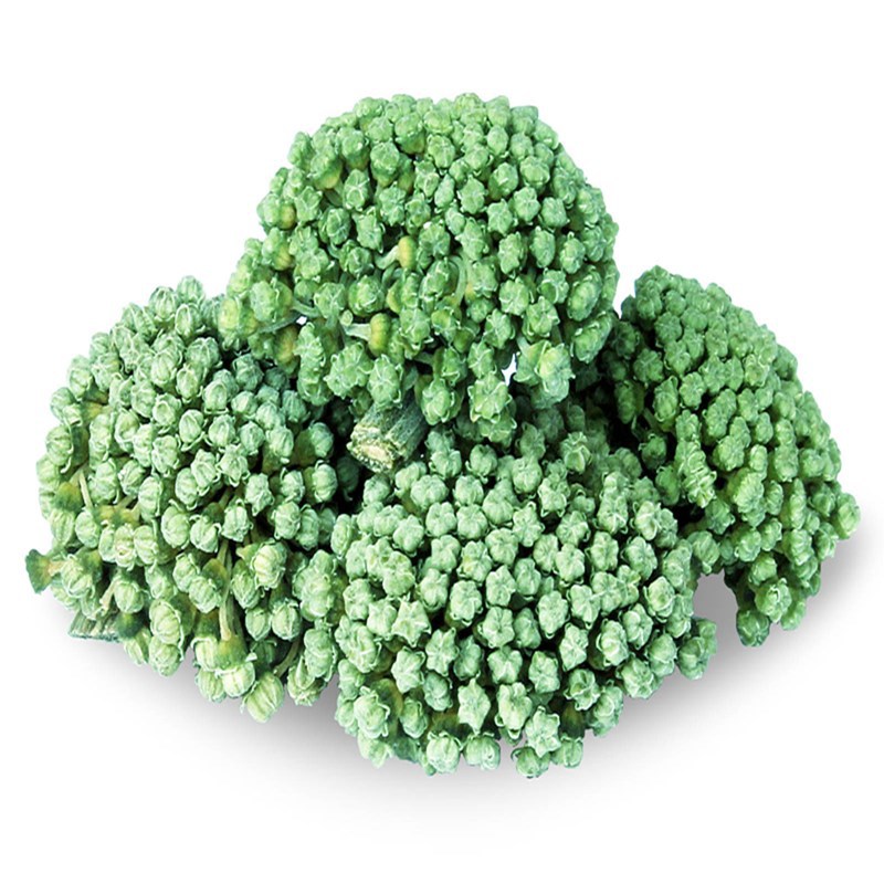 厂家贴牌代工三七花粉固体饮料 规格 包装供选择