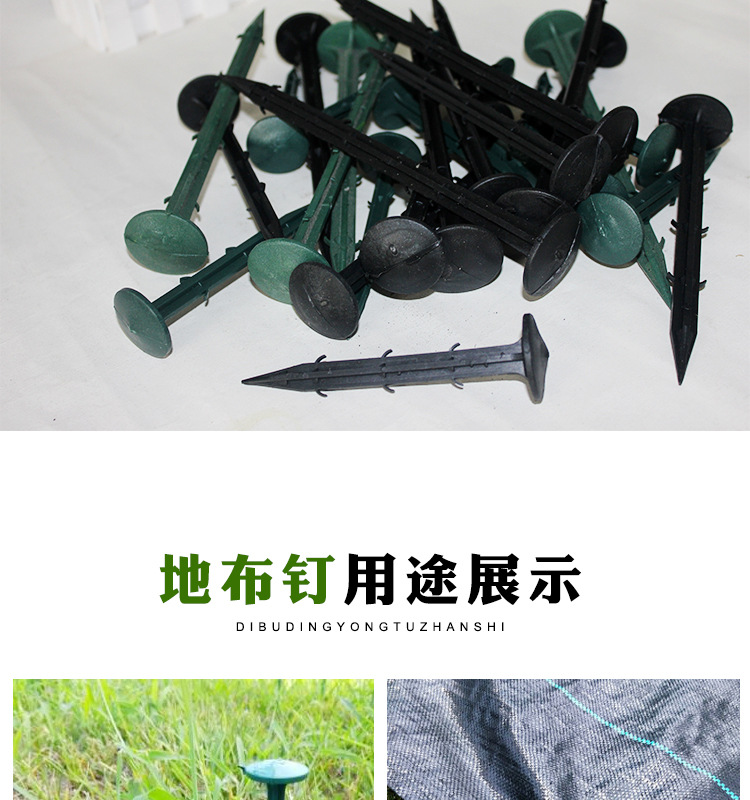 地钉_12