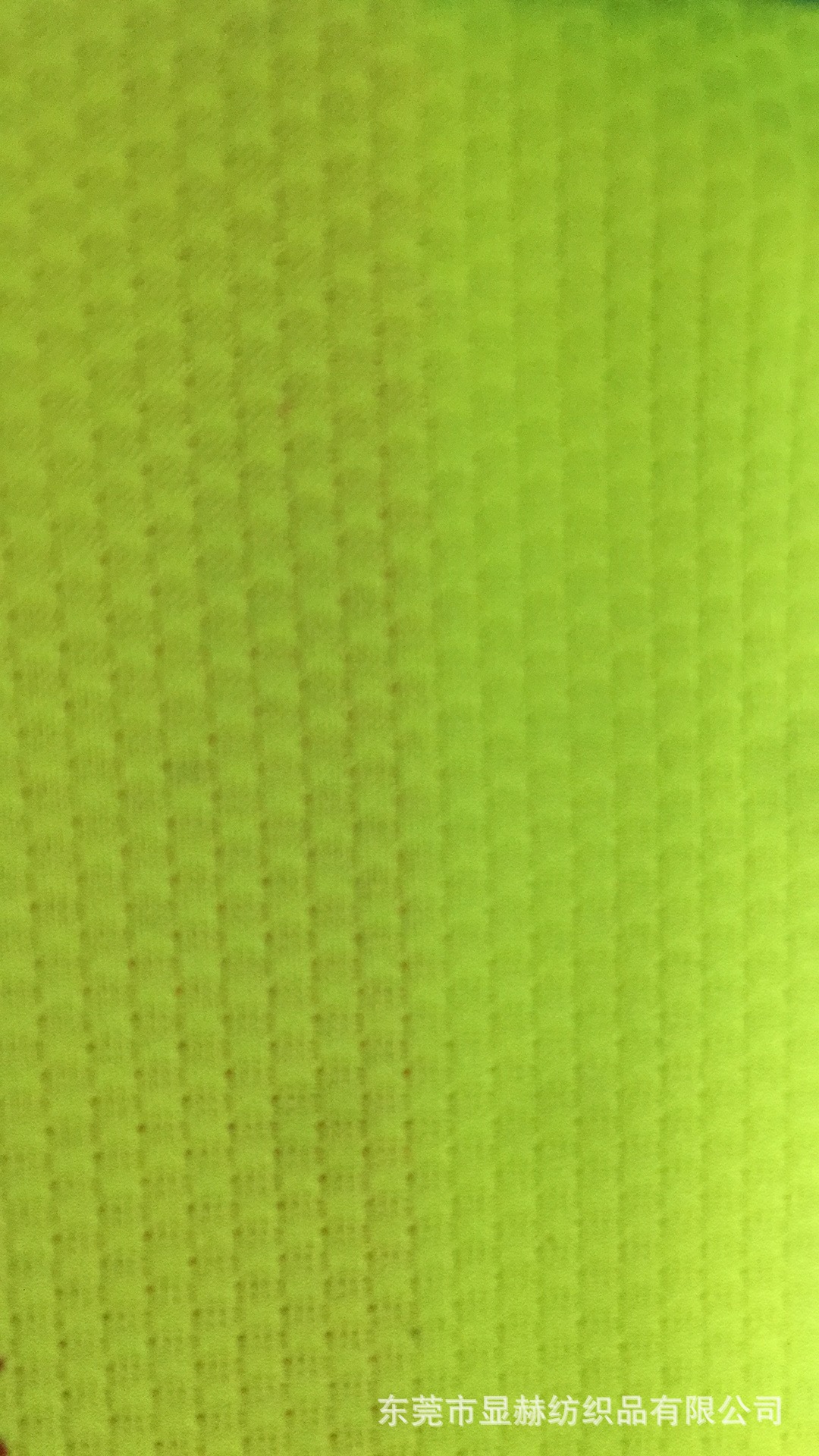 福建长乐产地 现货直销 运动面料 蛇纹网眼布 球衣面料