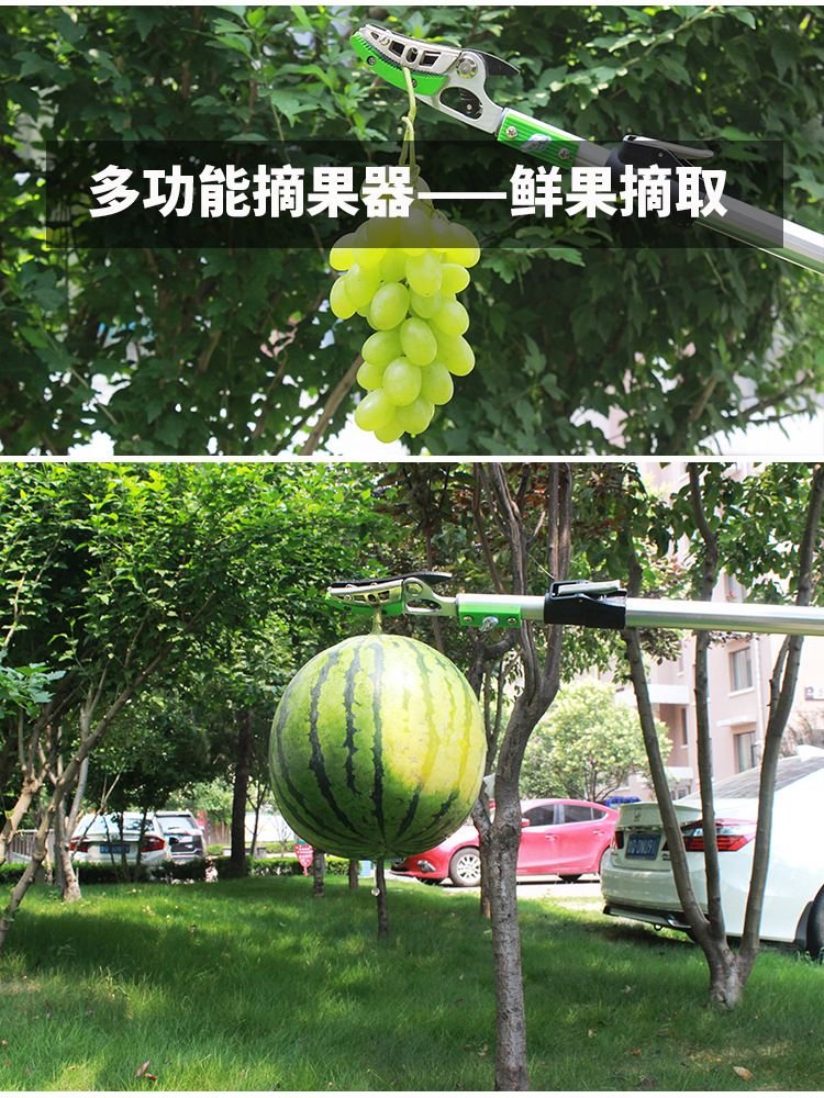 ��֦������_08