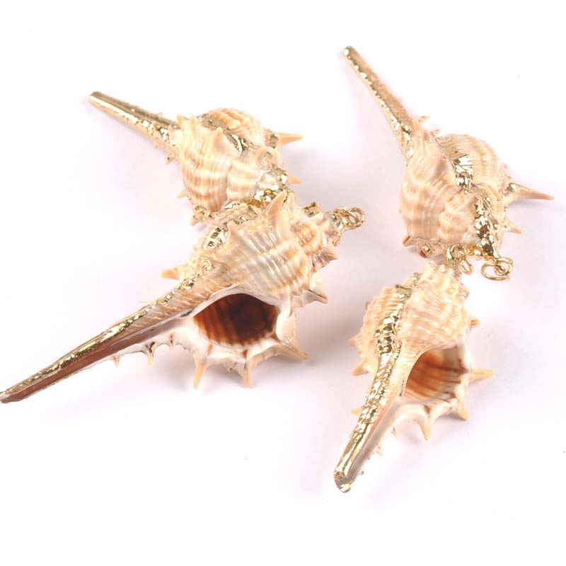 HTB1SN1ExGSWBuNjSsrbq6y0mVXas