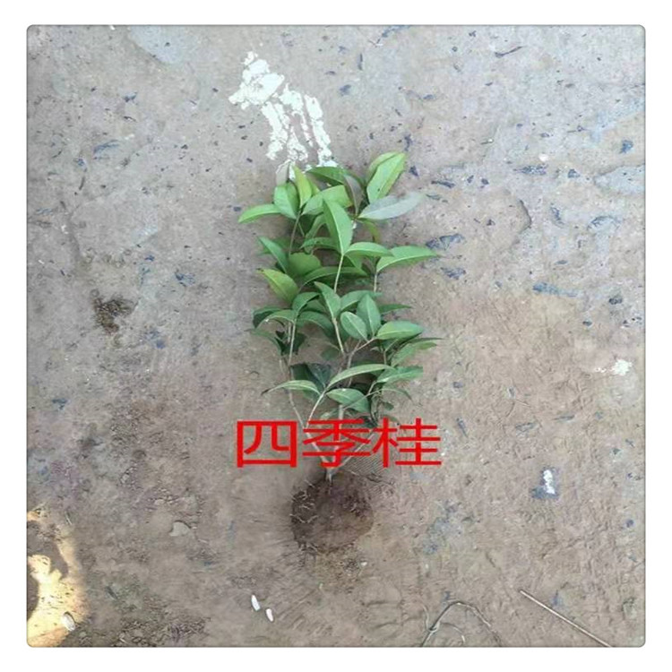 微信图片_20191014103330