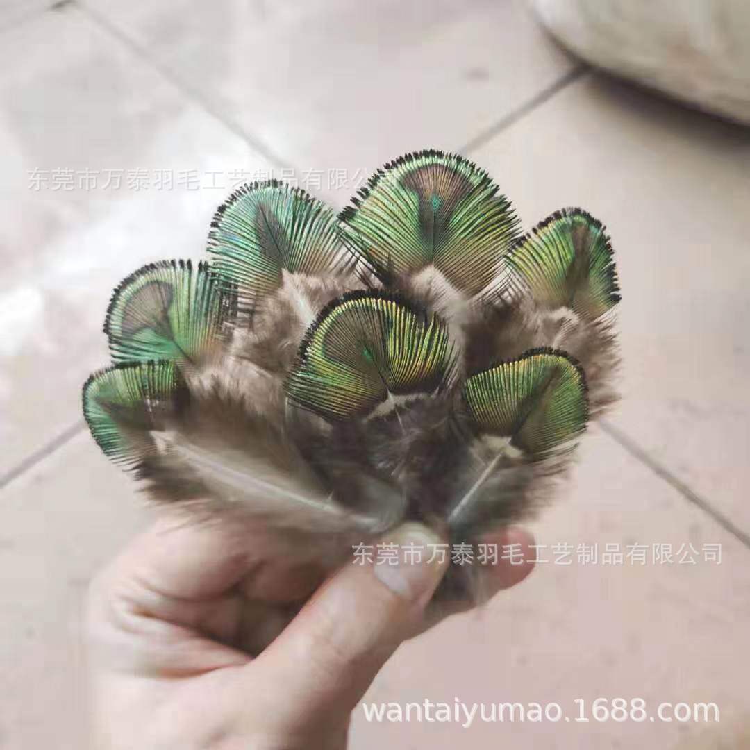 印度原装天然孔雀羽毛孔雀背毛孔雀金片 DIY手工材料饰品发夹装饰