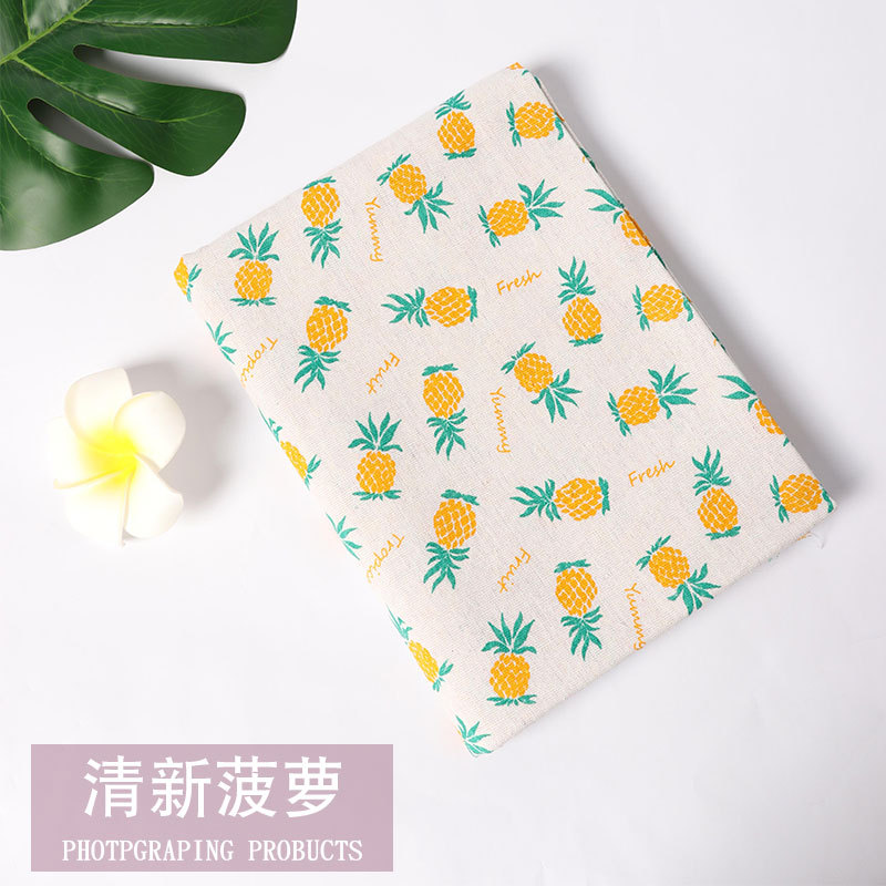 Fresh pineapple-encryption model