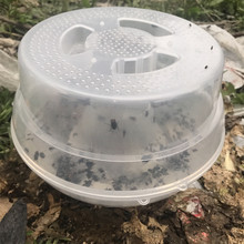 环保捕蝇器捕捉器折叠式捕蝇自动苍蝇笼灭蝇杀手捕蝇笼子