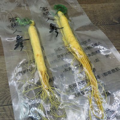 东北特产长白山 新鲜人参 保鲜参 泡酒煲汤人参 带酒鲜人参