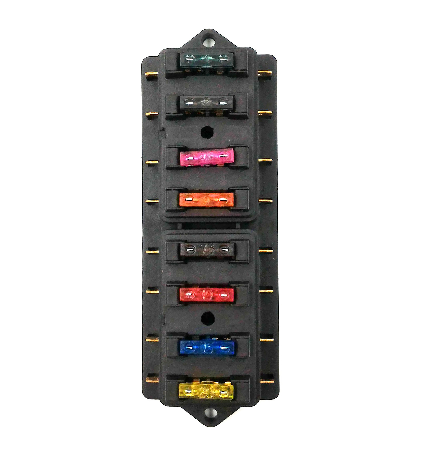 5297446678_598223705