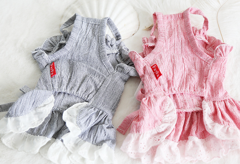 小兔花边领吊带裙