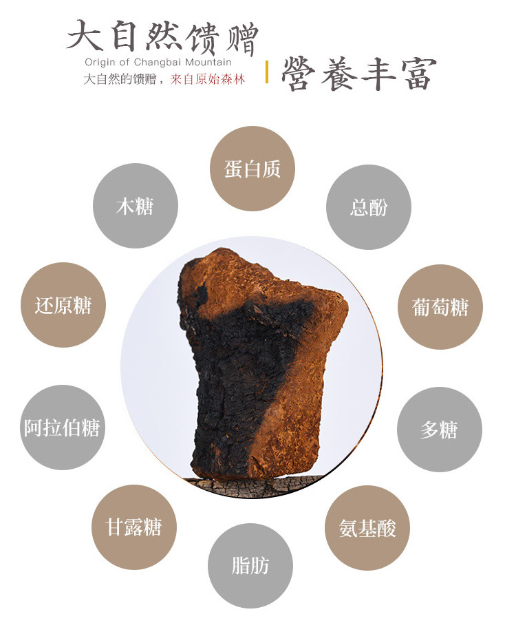 Chaga Mushroom Granules Hua Shu Rong Inonotus obliquus Ready to Eat Herbal Chunks for Daily Wellness preparation