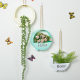 Nordic INS Plastic Wall Hanging Flower Basket Living Room Indoor Bedroom Dining Room Wall Decoration Creative Balcony Pendant Hanging