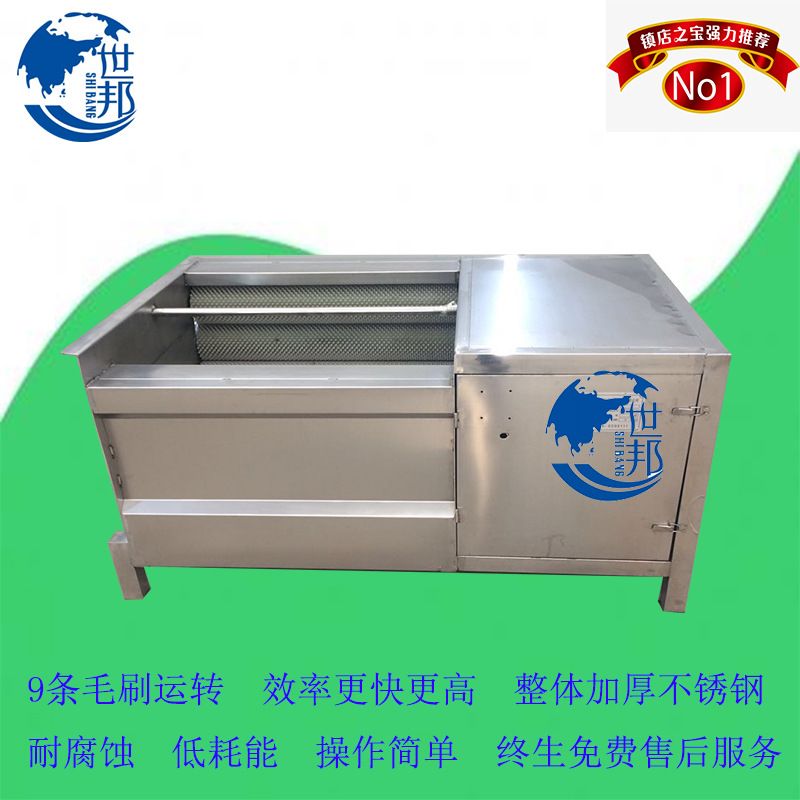 东北土豆去泥清洗机 生姜去皮机 毛刷清洗机生产厂家不锈钢做的