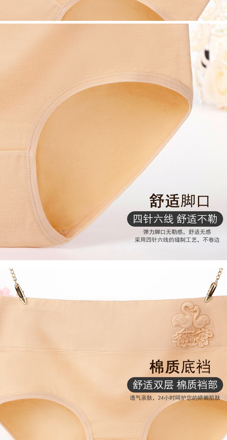 天鹅女士内裤_13.jpg