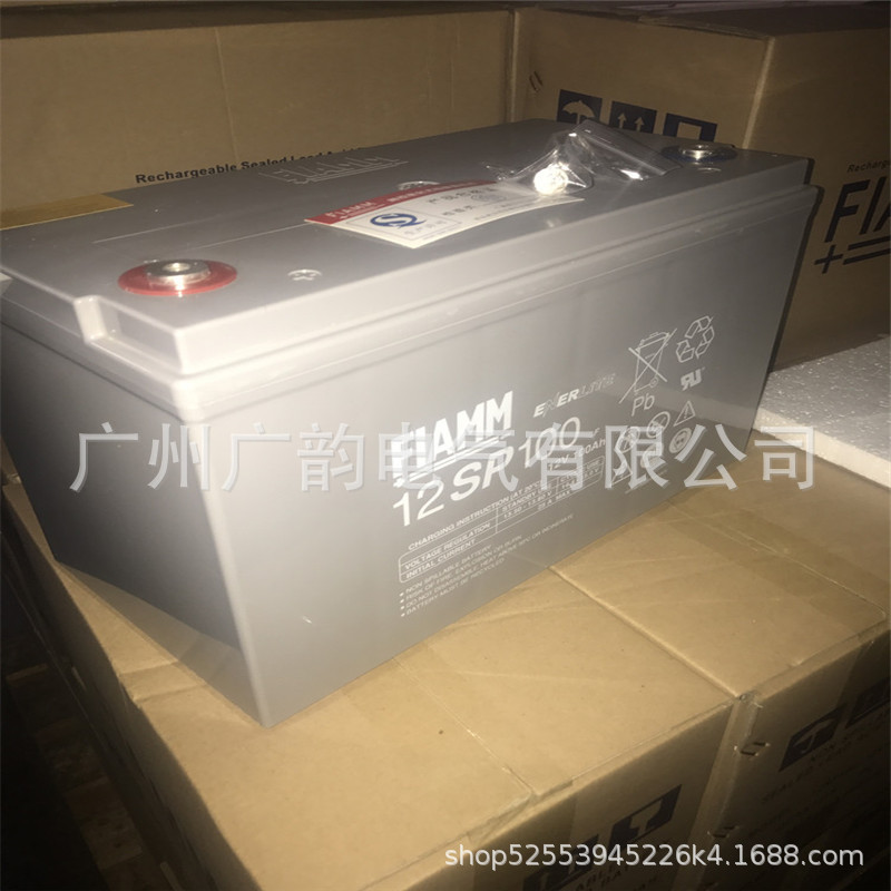 100ah非凡蓄电池 12SP100 意大利非凡12v100ah免维护蓄电池