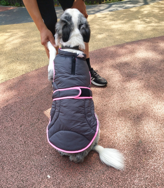 Dog Coat in Red