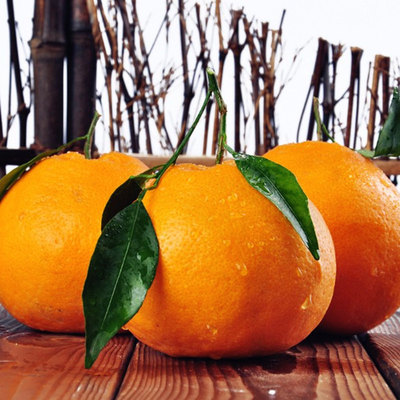 【现摘现发】批发四川耙耙柑柑橘新鲜水果一件代发果园直发