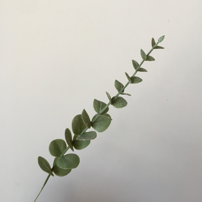 微信图片_201911251502271_副本