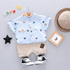 Summer summer clothing, set girl's, light and thin short sleeve T-shirt for boys, suitable for import, Korean style