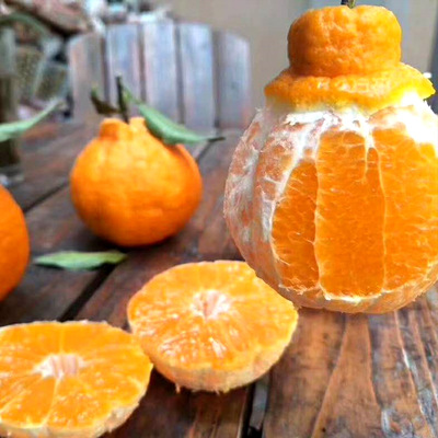 四川蒲江不知火 醜柑5斤包郵大果新鮮水果時令批發醜橘子壹件代發