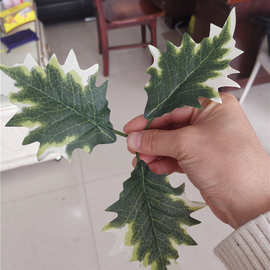仿真植物 大三叉白边仿真叶 仿真八角叶 仿真花环装饰布布料批发