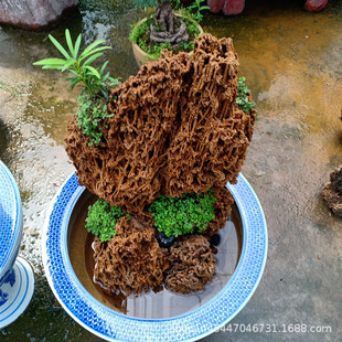 The Manufacturer Produces Absorbent Stone Raw Stone, Absorbent Stone Wool, Rockery Bonsai Absorbent Stone, Garden Landscaping Absorbent Stone