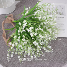 新兰花草】_新兰花草品牌\/图片\/价格_新兰花草