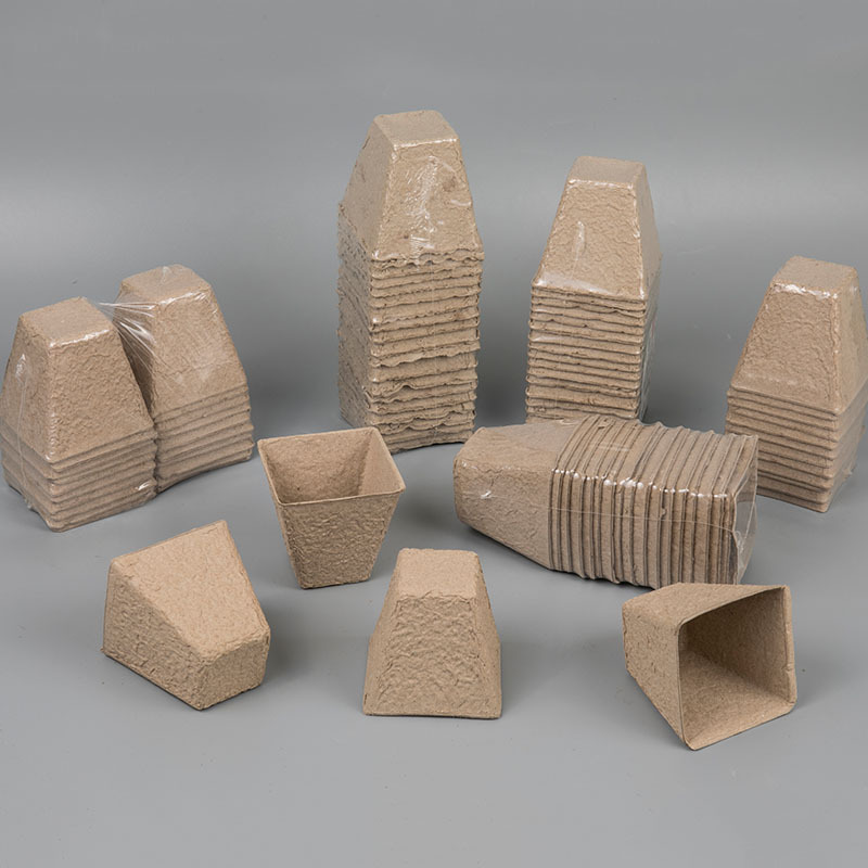 未标题-1_0005__S7A3539