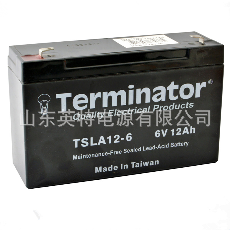 Terminator蓄电池 TSLA12-6 6V12AH 机械臂 医疗 仪器 船舶