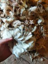 ���������d��ë �i�� �ië