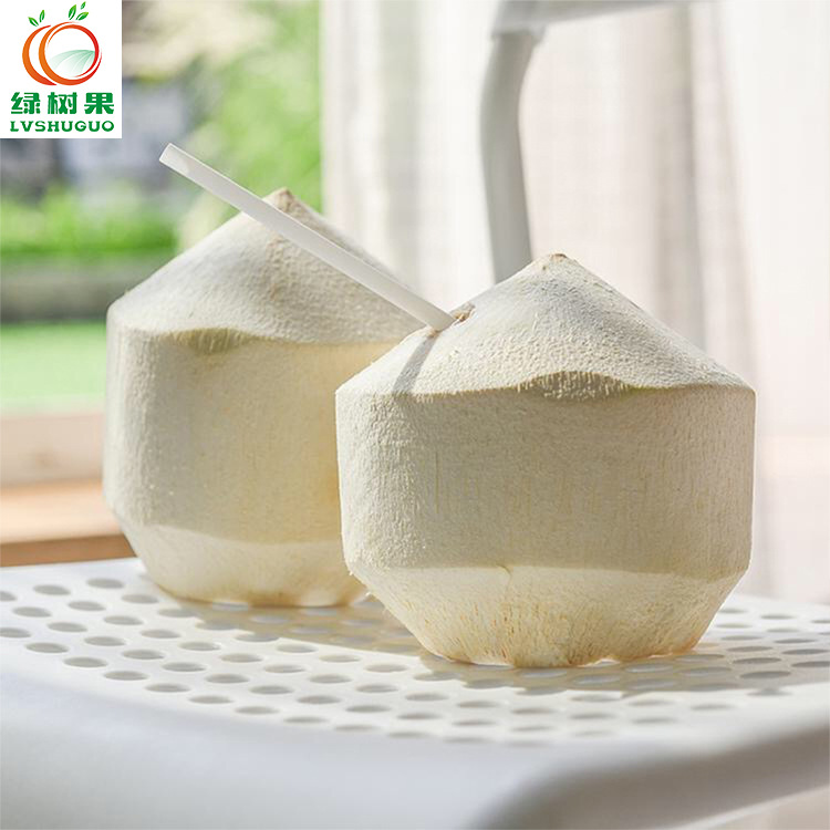 Trees Thailand Imported Coconut 2 9 Original flavor Coconut Juice Copra fresh fruit Hainan Coconut