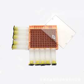 出口型蜂具蜂王培育盒褐色王台基王台罩育王工具套装育王盒批发
