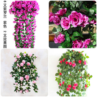 紫薔薇花圖片 海量高清紫薔薇花圖片大全 阿里巴巴