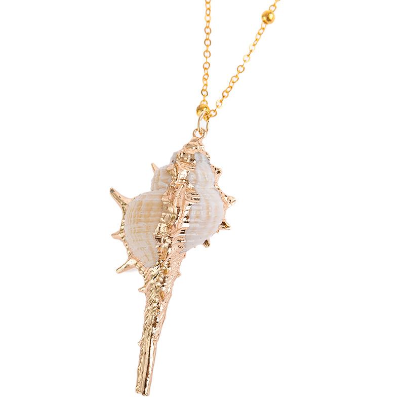 20g Weight Necklace Classification 1 Piece Quantity 1 Piece Fashion Shell Shell Chain Women's Necklace
