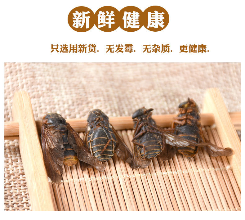 Niu Meng Chong (Tabanus) — Dried Horsefly Insect Herb, 500g Bulk key features