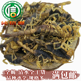 ���M���]��ȫϐ��ˮȫ��؛ɢ�b�a��ֱ��ȫ�xϐ����Դ��ș�����l