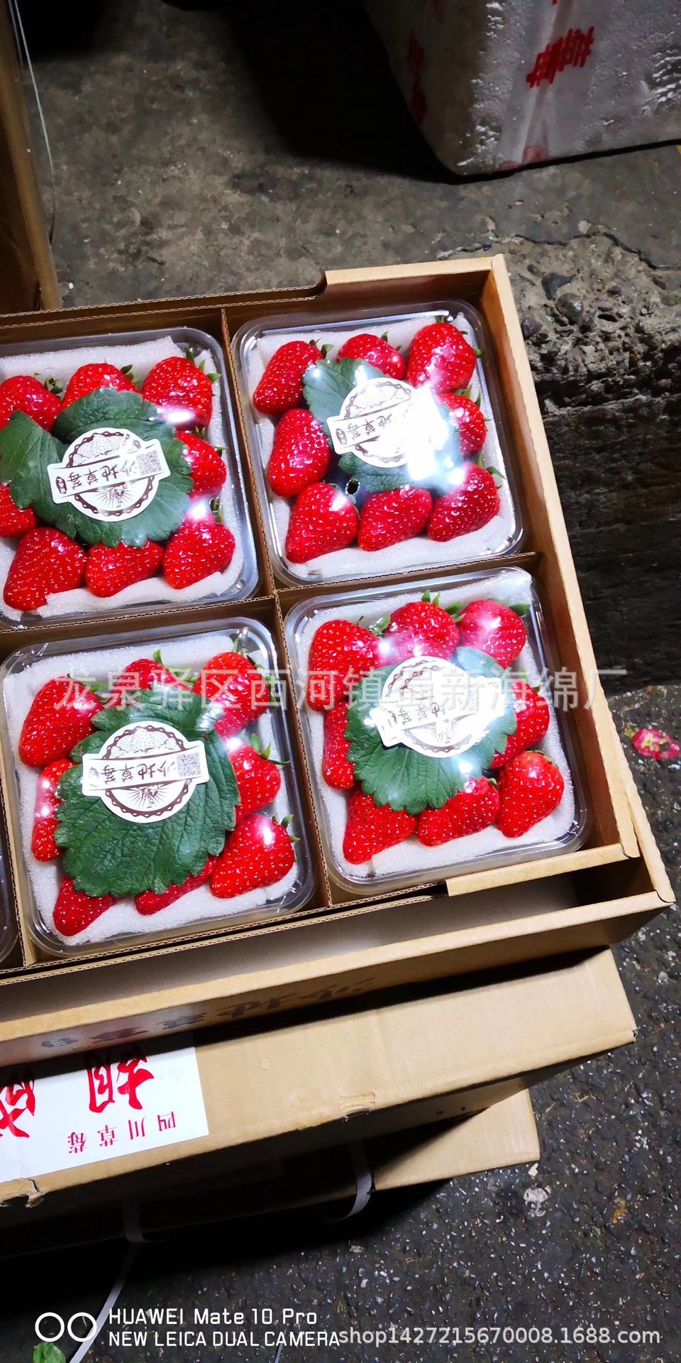 厂家直销白色草莓快递防震包装海绵泡沫/白色海绵水果包装海绵