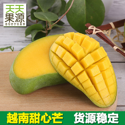 产地直供 越南甜心芒8斤小金煌芒新鲜水果当季小青芒果批发一件代