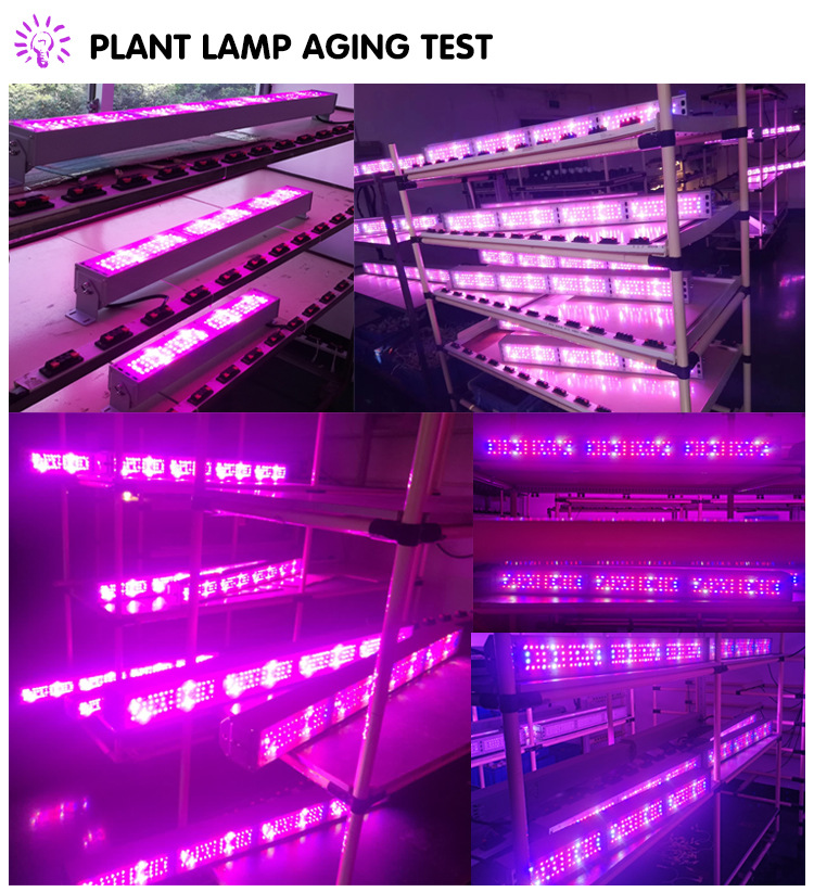 ֱLED50W 100WֲҴֶ֧ƹ