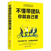 不懂带团队你就自己累 员工培训心理学营销销售团队说话技巧为人