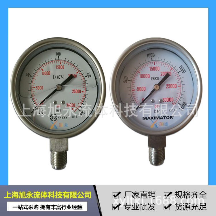 现货供应不锈钢螺纹式精密压力表 真空充油耐震压力表