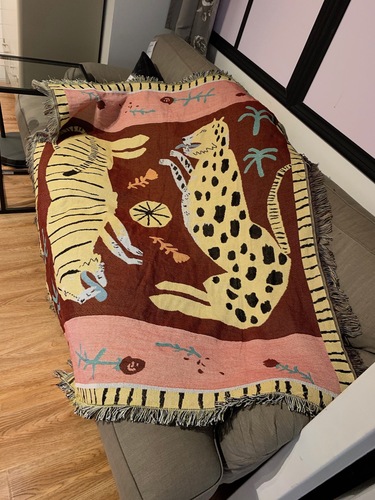 マルチカバー 毛毯挂毯床毯沙发毯粉红豹外贸创意速卖通