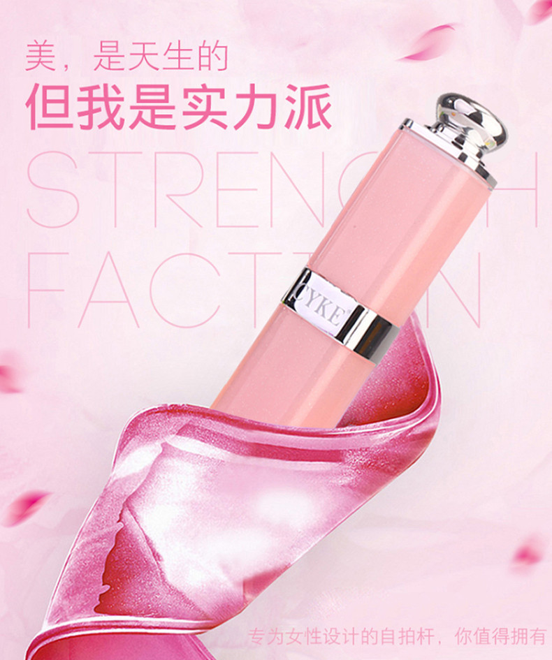 Bâton selfie en Acier inoxydable - Ref 3387267 Image 13