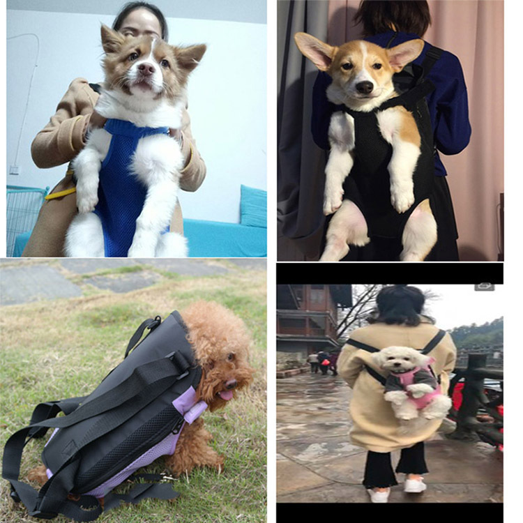 代发宠物外出包双肩旅行包猫包泰迪比熊宠物网布透气包批发便捷包|ru