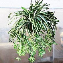 ���S����N����ڒ컨ˇ�������m�ٻ�����ǻ�������@�b���